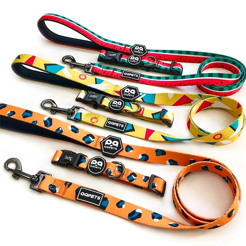 2023 Top Selling  Nylon Sublimation Printed Pet Dog Collar And Leash Set Custom Logo Collar Leash For Dog