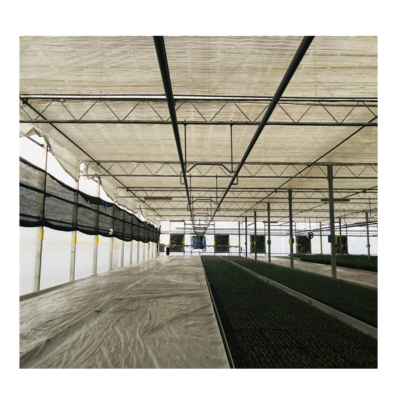 agricultural greenhouses used sale hydroponic system vertical hydroponic system agriculture products