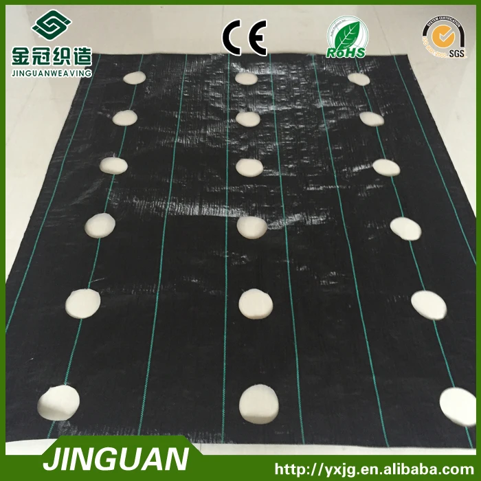 100g agricultural ground cover with hole