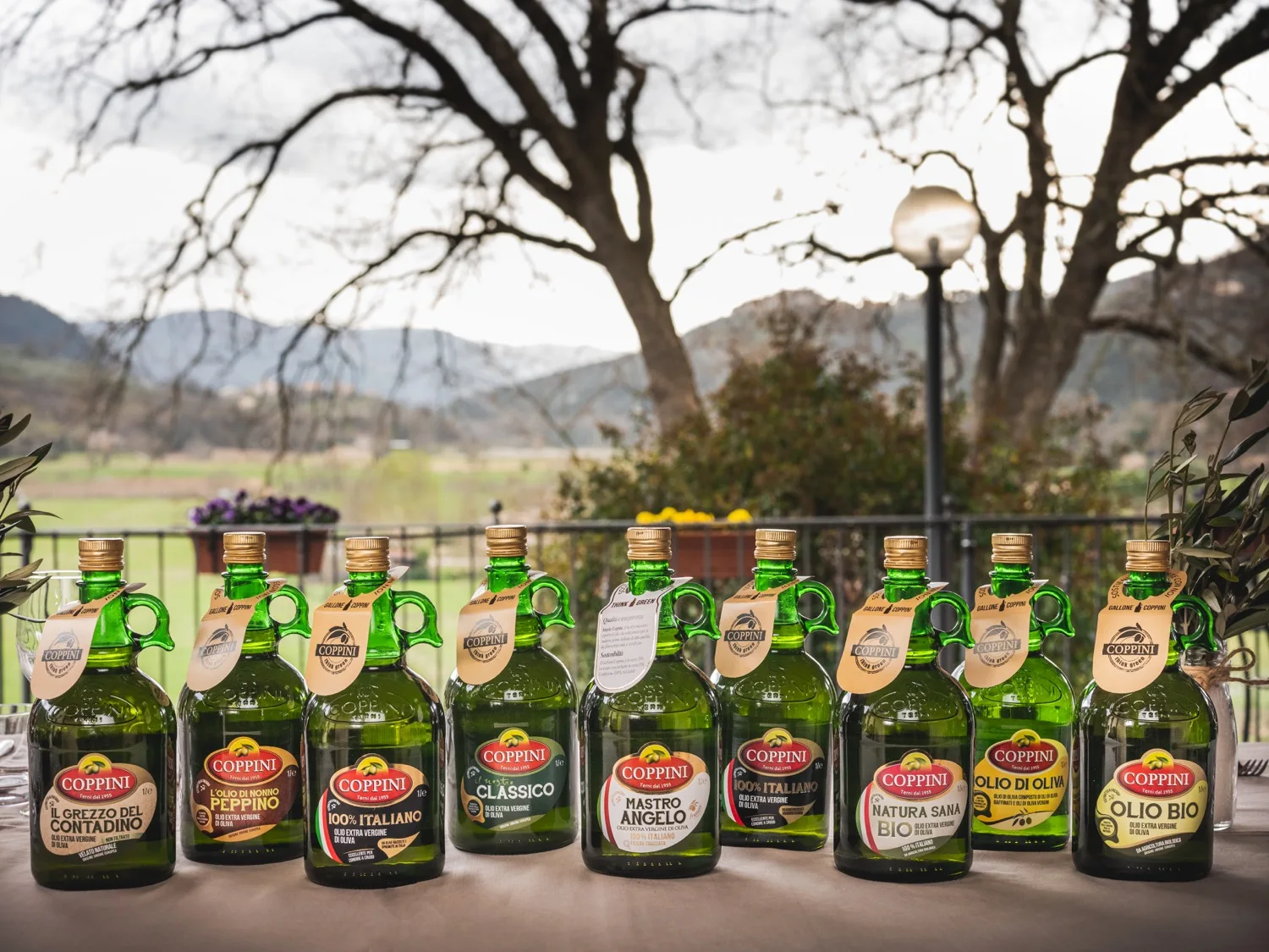 Premium Product Coppini Olive Oil - EU Extra Virgin Olive Oil - 10 ML sachets to Preserve the Freshness and Quality