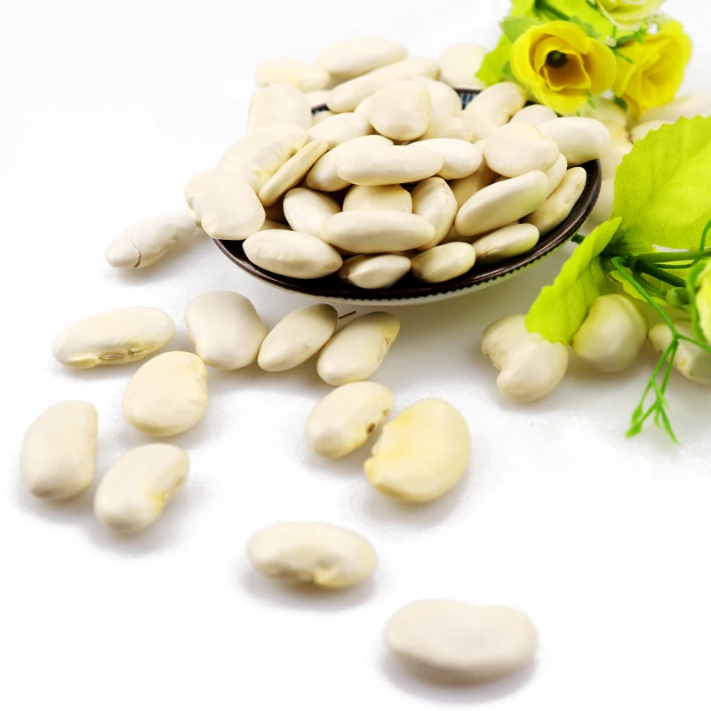 Best Big White Bean Dried White Kidney Bean Sugar Bean