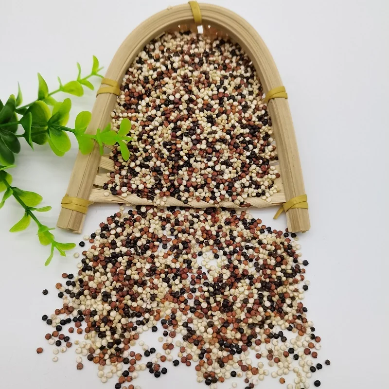  Черный quinoa organic-органический красный Quinoa-красный-белый-черный