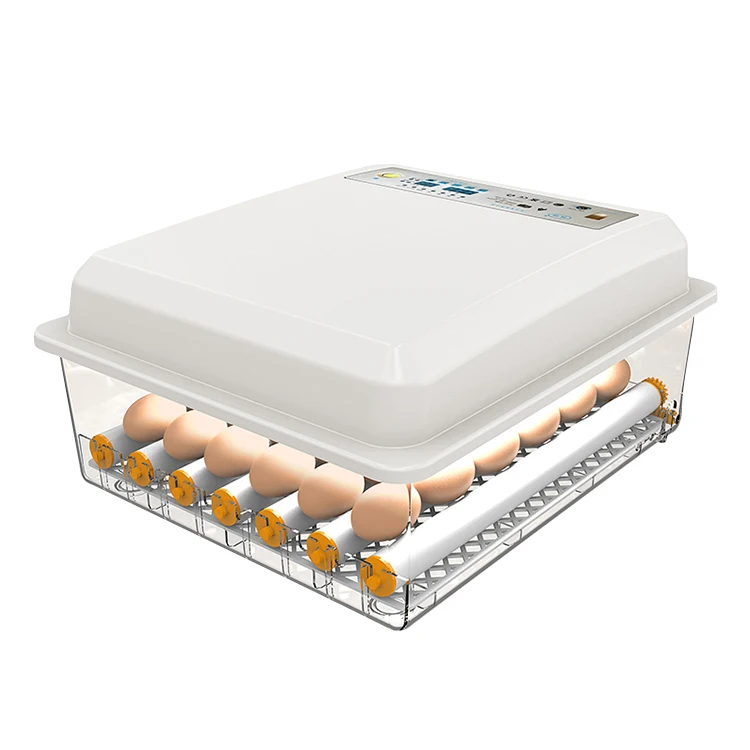  Hot sale high hatching rate 24/30/36/42 egg capacity automatic birds machine incubator mini