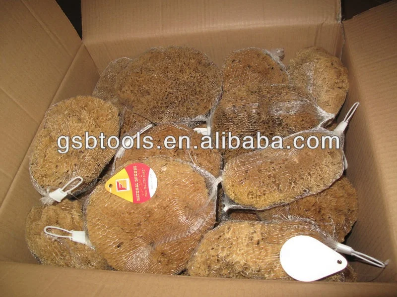 wall decorative natural sea sponge wall texture design hand paint tools sea sponge paint roller brushes