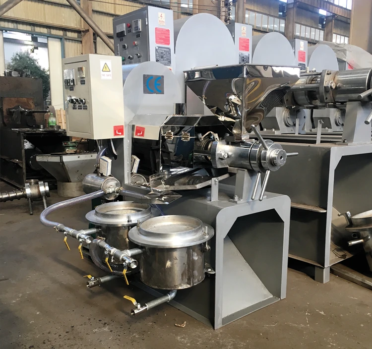 Automatic Groundnut Sesame Avocado Oil Extraction Cold Press Peanut Olive Coconut Oil Press Machine