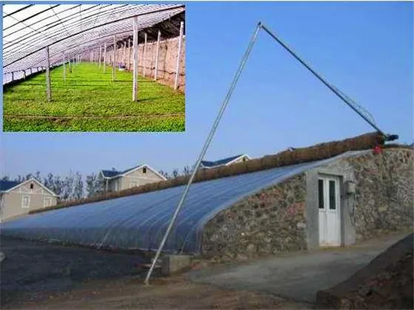 Солнечная теплица с задней стенкой для холодной погоды для выращивания овощей, Китай