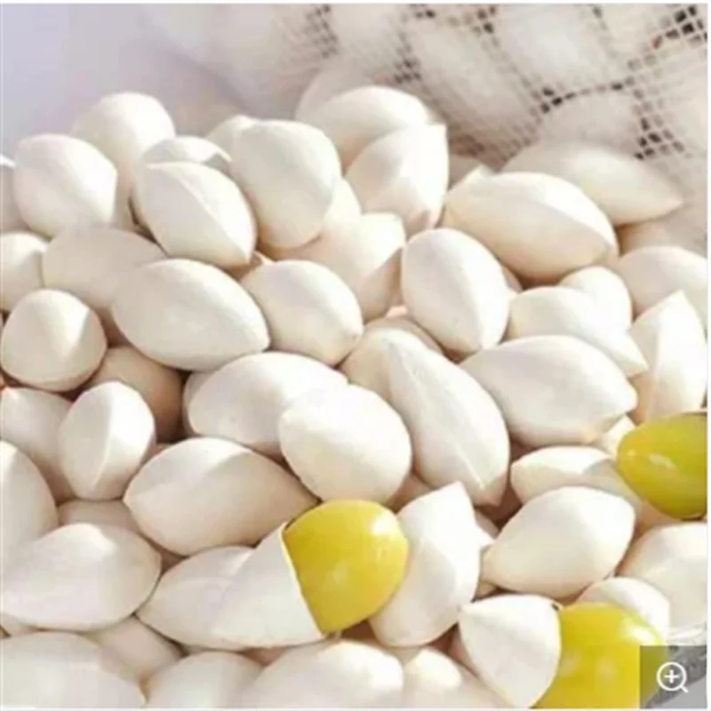 Wholesale Bai Guo Best Quality Chinese herb Natural Ginkgo Nuts
