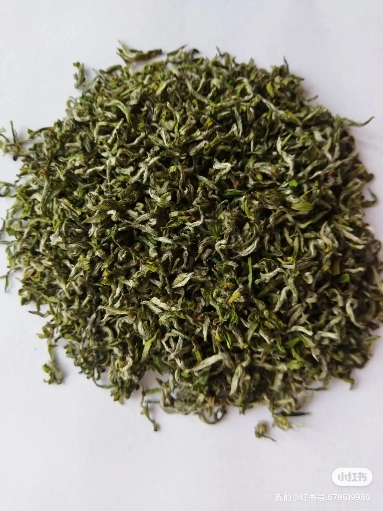 Pi Lo Chun green tea chinese famous green tea