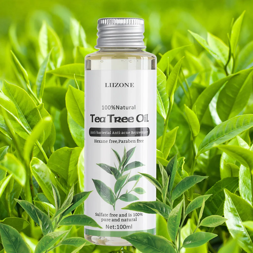 High Efficacy 100% Pure Organic Natural Massage Coconut Avocado Tea Tree Essential Oil Body Care Jojoba Tea Tree Essential Oil