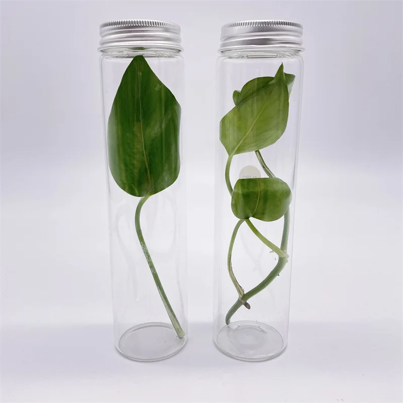 Transparent Flat Bottom Test Tube for With Aluminum Screw Cap 20mm 22mm 25mm 30mm