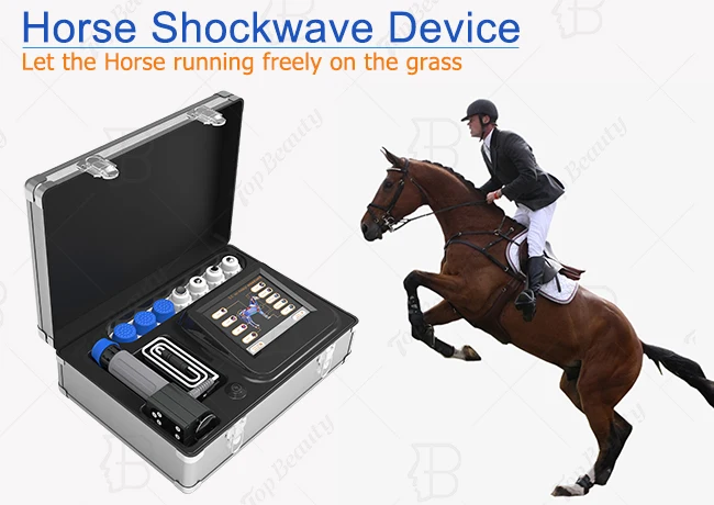 Veterinary  Horse Use Radial Focused Electromagnetic Shockwave Therapy Machine