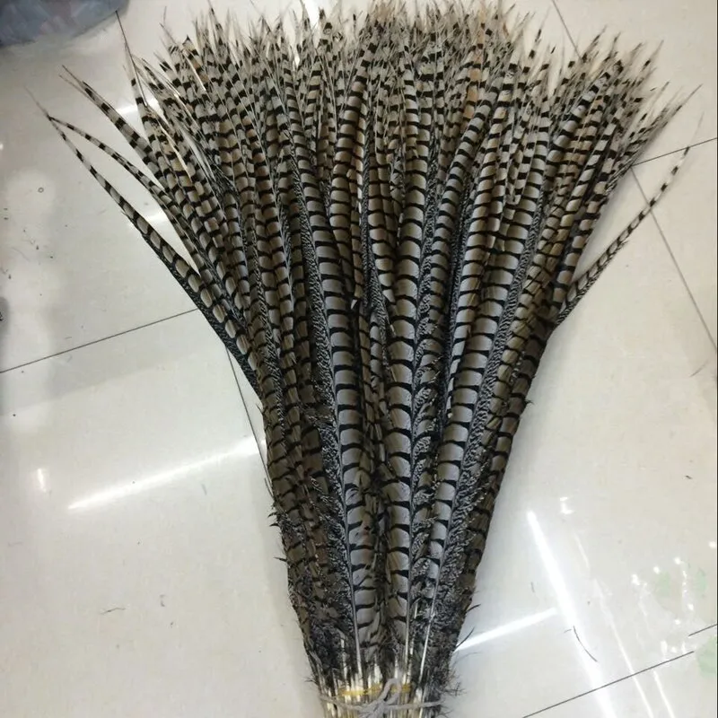 Wholesale Pheasant Feathers  70 cm  Lady Amherst Pheasant Feathers For Sale