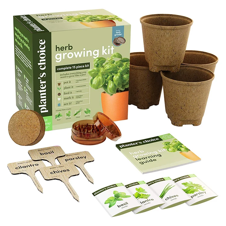 New 2024 succulent diy kids crochet growing plant kit grow your own indoor cheap grow tent complete kit