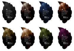 Permanent  Black Hair Color FastColor Mousse Hair Change Shampoo Hair Dye Colour