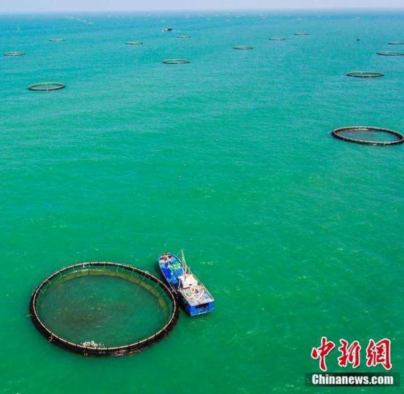PE Anti-Storm Trout Fish Aquaculture Circular-shape Floating HDPE Fish-farming Cages in Deep Sea