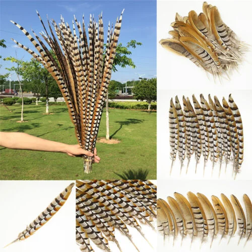 Natural Pheasant Tail Feathers Reeves venery pheasant feather for carnival Festival