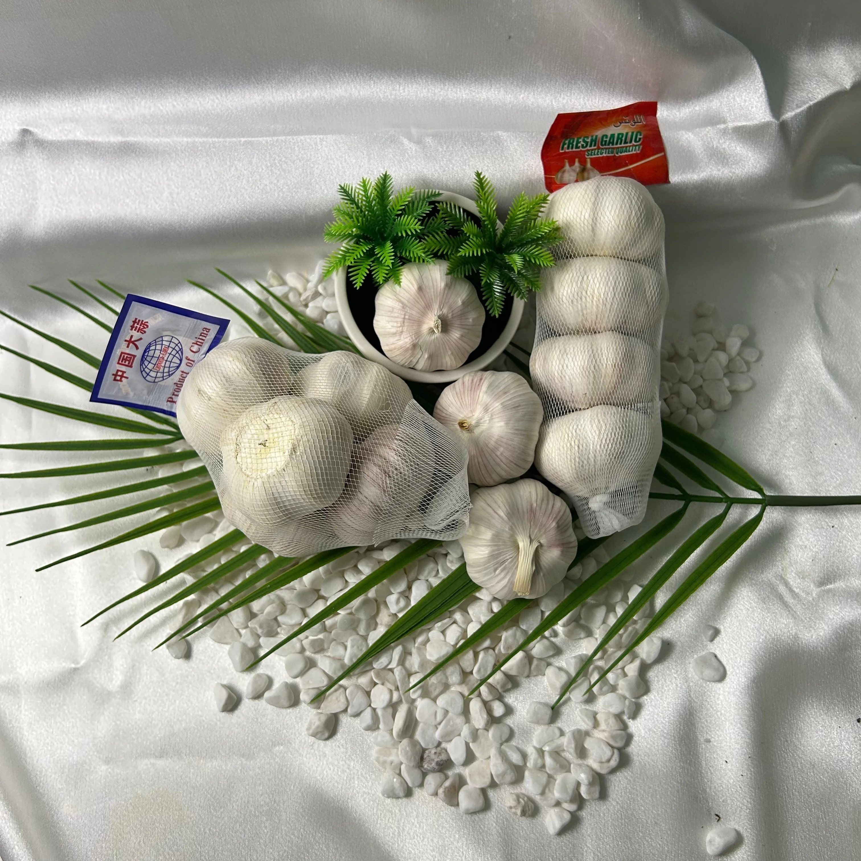 Sample: Size 5.0cm-5.5cm fresh normal white garlic grown from China, mesh bag packing/carton packing/customizable