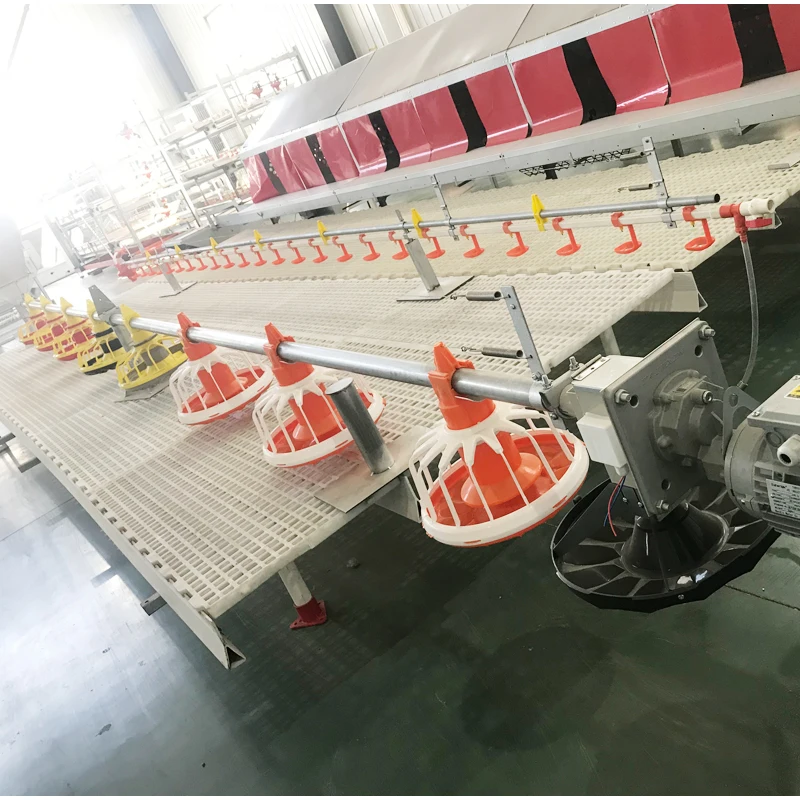 New model Automatic broiler Floor raising Equipment Automatic poultry feeding system Chicken Breeding Pan Feeder