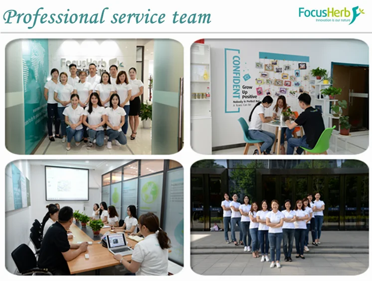 
FocusHerb Pygeum Extract 13% Phytosterols Powder 