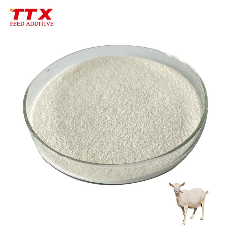Broiler chicken feed additives galactosidase enzyme