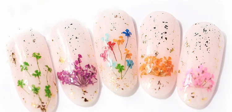 Wholesale Dried Flowers for Resin Mold Nail Art Small Tiny Real Natural Flower Decoration Supplies