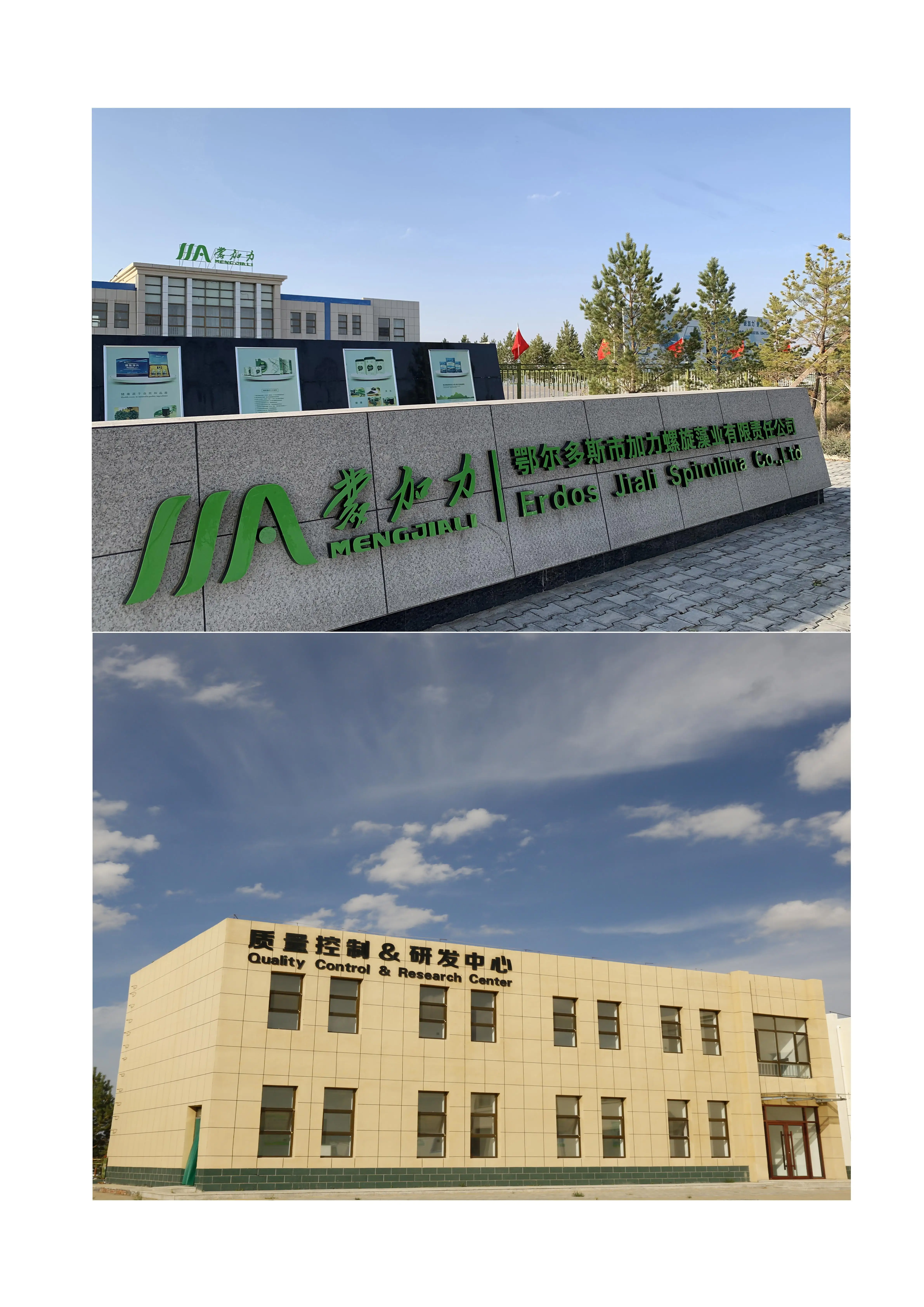 Hot selling Alga Spirulina Extract Healthcare Green Food Spirulina Powder For Cereal Making