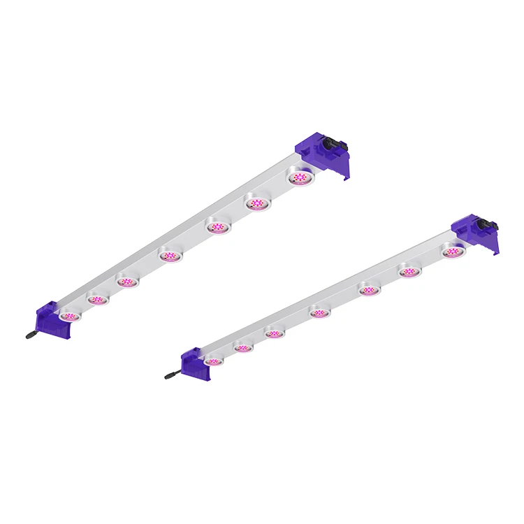 Led Grow Lights 650W 1000W 2000W Red 660Nm Full Spectrum Grow Light for Indoor Personal Commercial Greenhouse Plants