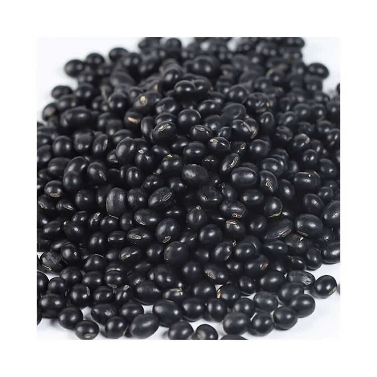 Hot Sale China Manufacture Quality Chinese Black Soya Bean