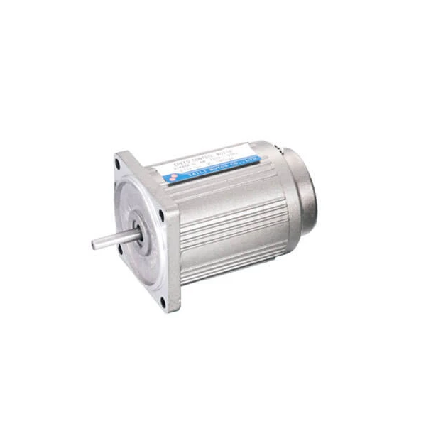 Low Noise 50HZ 60HZ 110V 220V 380V 6W Eccentric AC Synchronous Motor