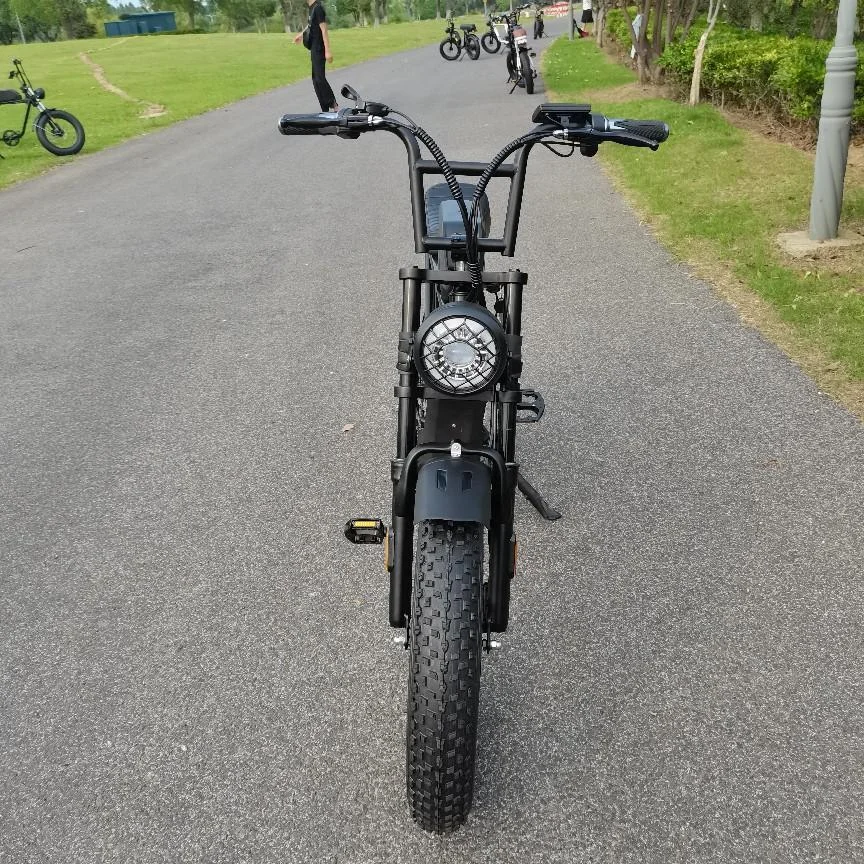 Two  batteries super LAMASSU vintage style 250w electric city bike 700c electric bike ebike city with caliper brake 73