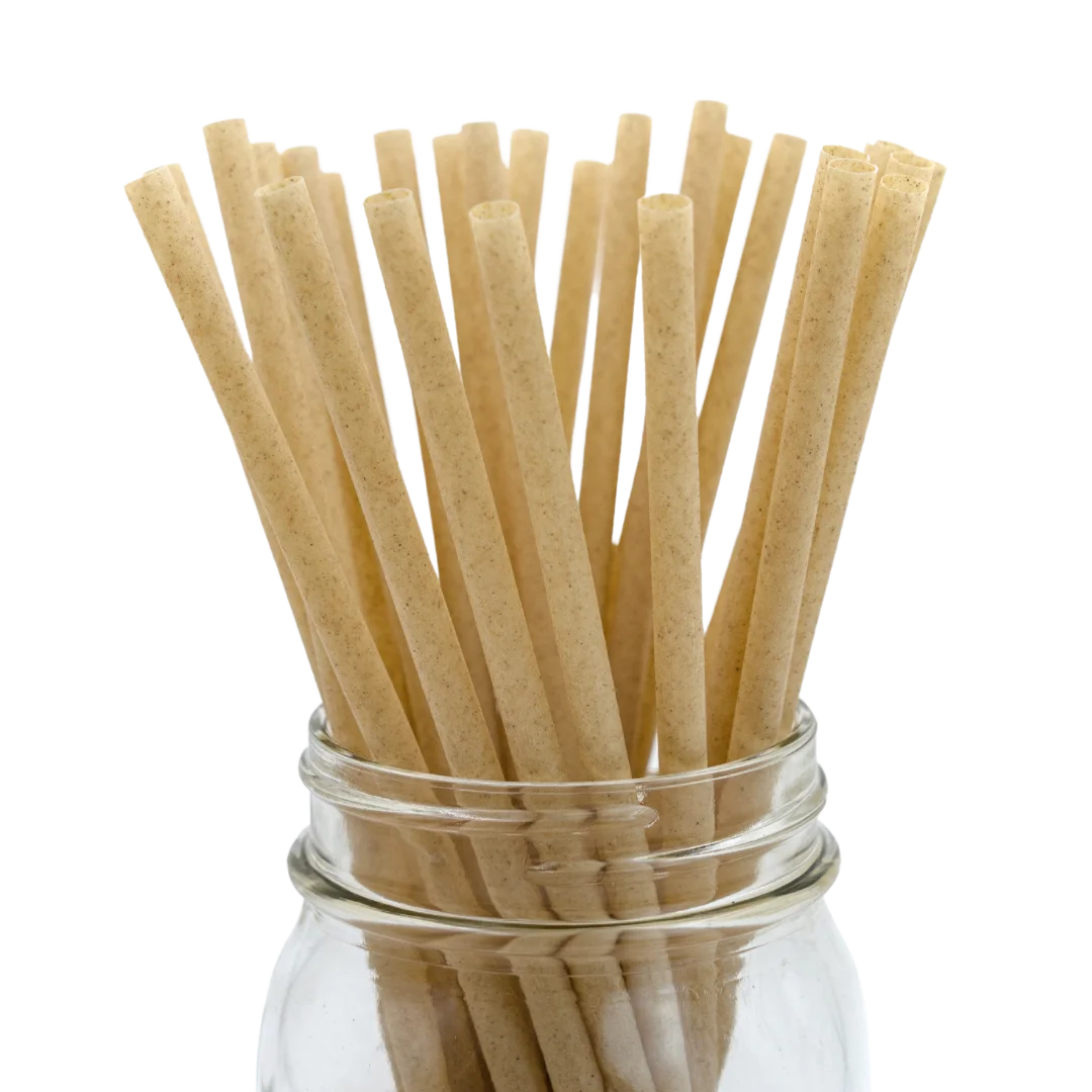 Disposable Straws Compostable Sugarcane Straws PLA Straw