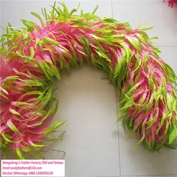 Customize 2 tone Rooster Feather Boa Coque Feather Boa Samba Boa