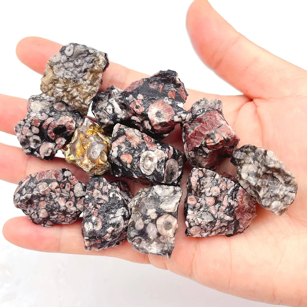 High quality mix color gemstone wholesale rough natural crinoid raw stone for mineral specimen