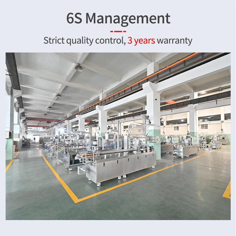 Ampoules Blistering Machine Ampoule Blister Packaging Machine Blister Packing Machine For Disposable Syringe