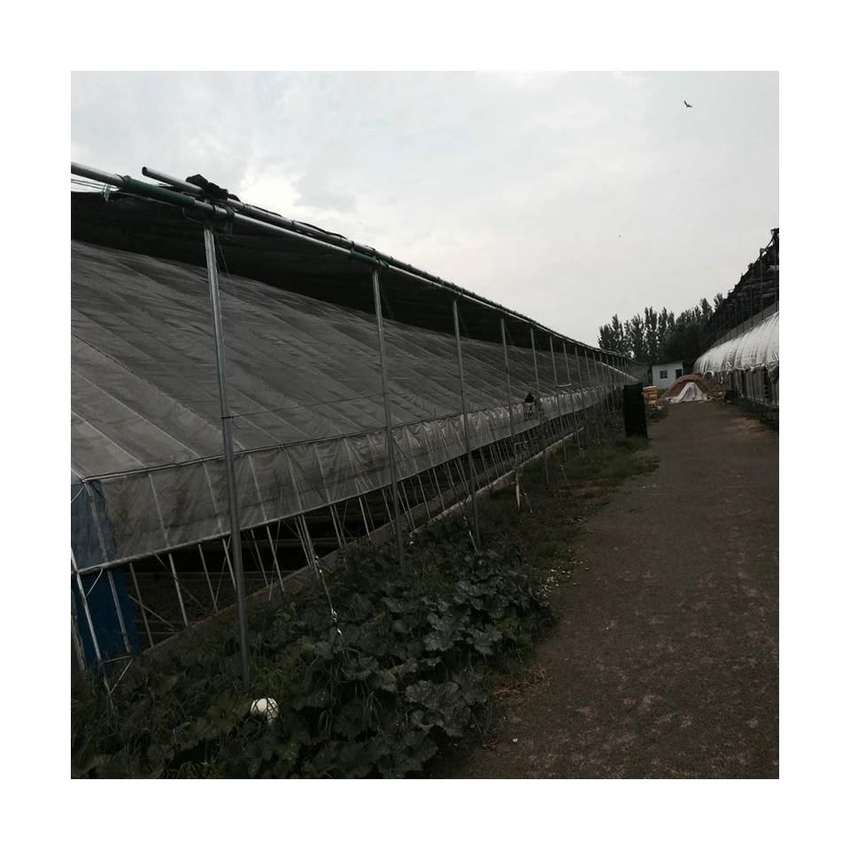 Promotional various  in-solar greenhouses agricultural greenhouses green house greenhouse