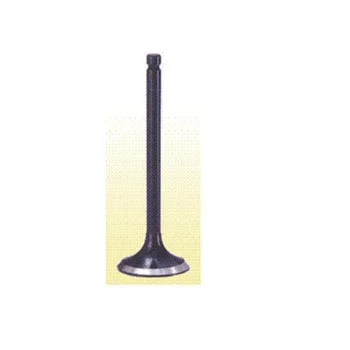 
Engine Valve For Truck 