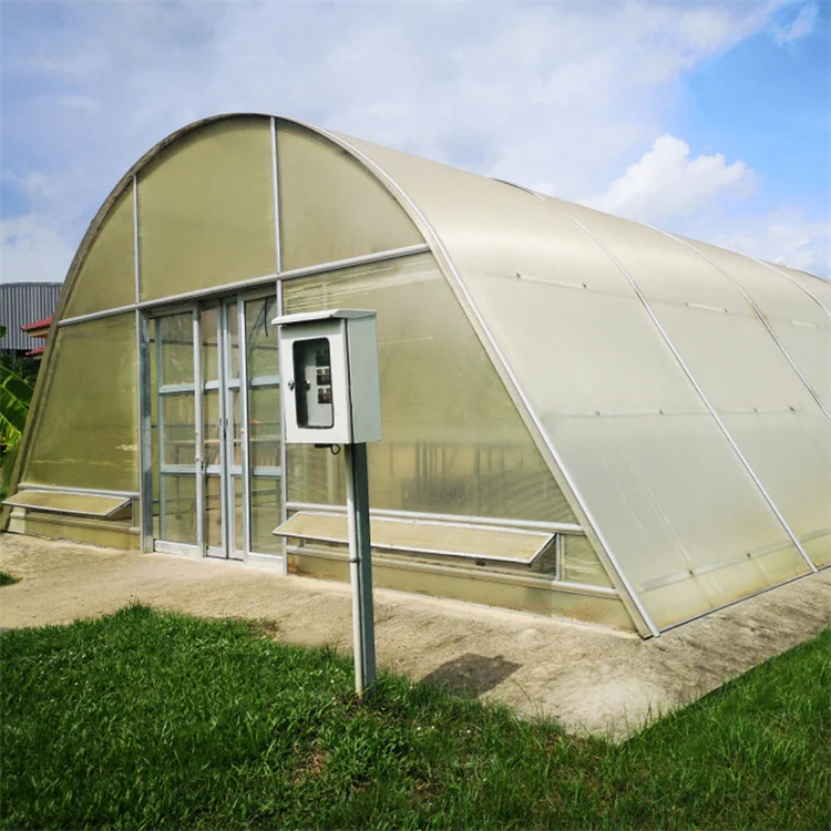 Drying tray sun solar system natural rubber dryer greenhouse