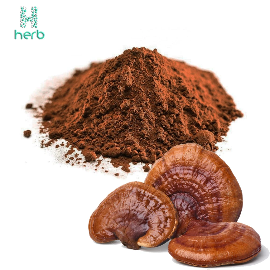 Оптовая продажа чистый органический экстракт порошка гриба Рейши Ganoderma Lucidum