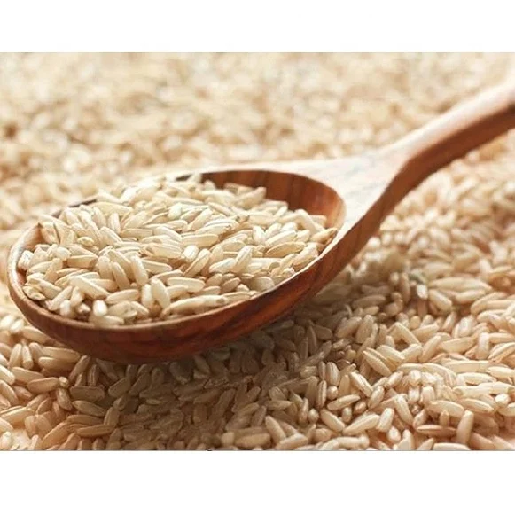 High Quality Vietnam Long Grain Brown Rice 5% broken (OM5451)