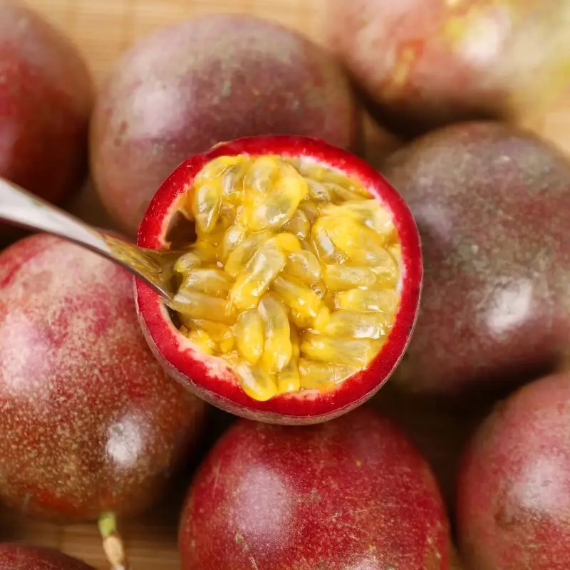 Концентрат со вкусом страстных фруктов Markisa Aloe Markisa, ароматический вкус