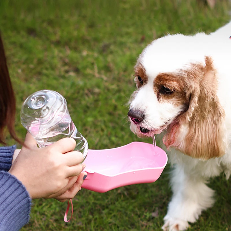 Pet Water Bottle For Drinking Outdoor
