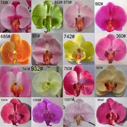 Artificial Orchid China Factory Handmade Real Touch White Artificial Orchid Flower For Wall Hanging