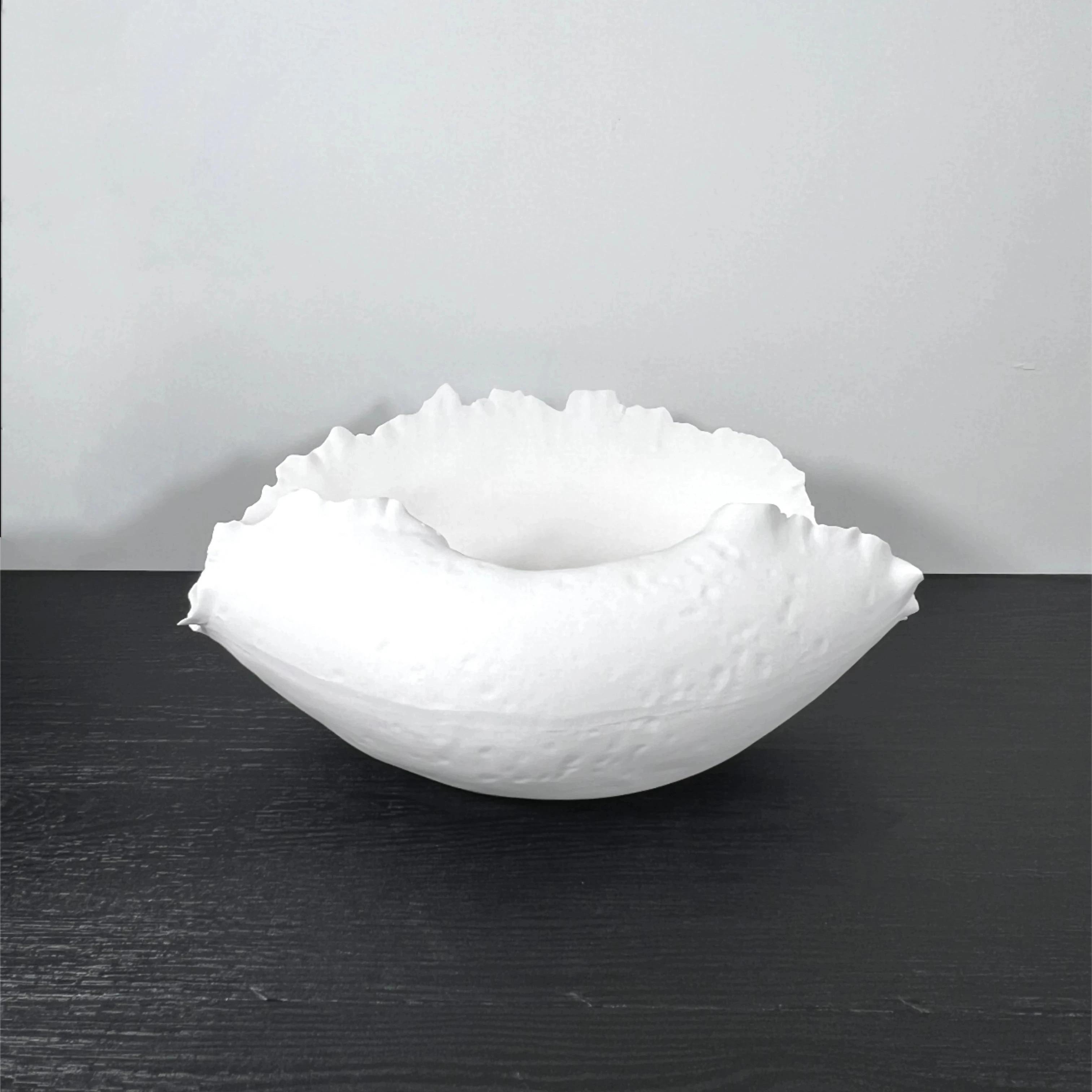 Modern White Porcelain Ceramic Tray Irregular Shape Vase Glazed Matt Plain Home Wedding Decor Featuring Flower Pattern