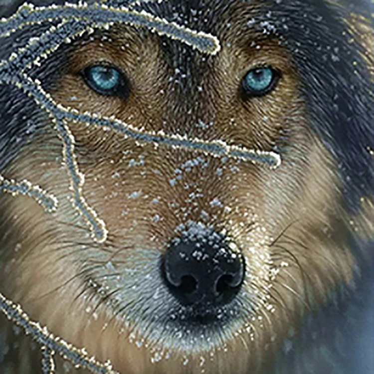 Good quality Coloured drawing painting Full drill diamond kits painting 5D diamond adults Animal decoration painting