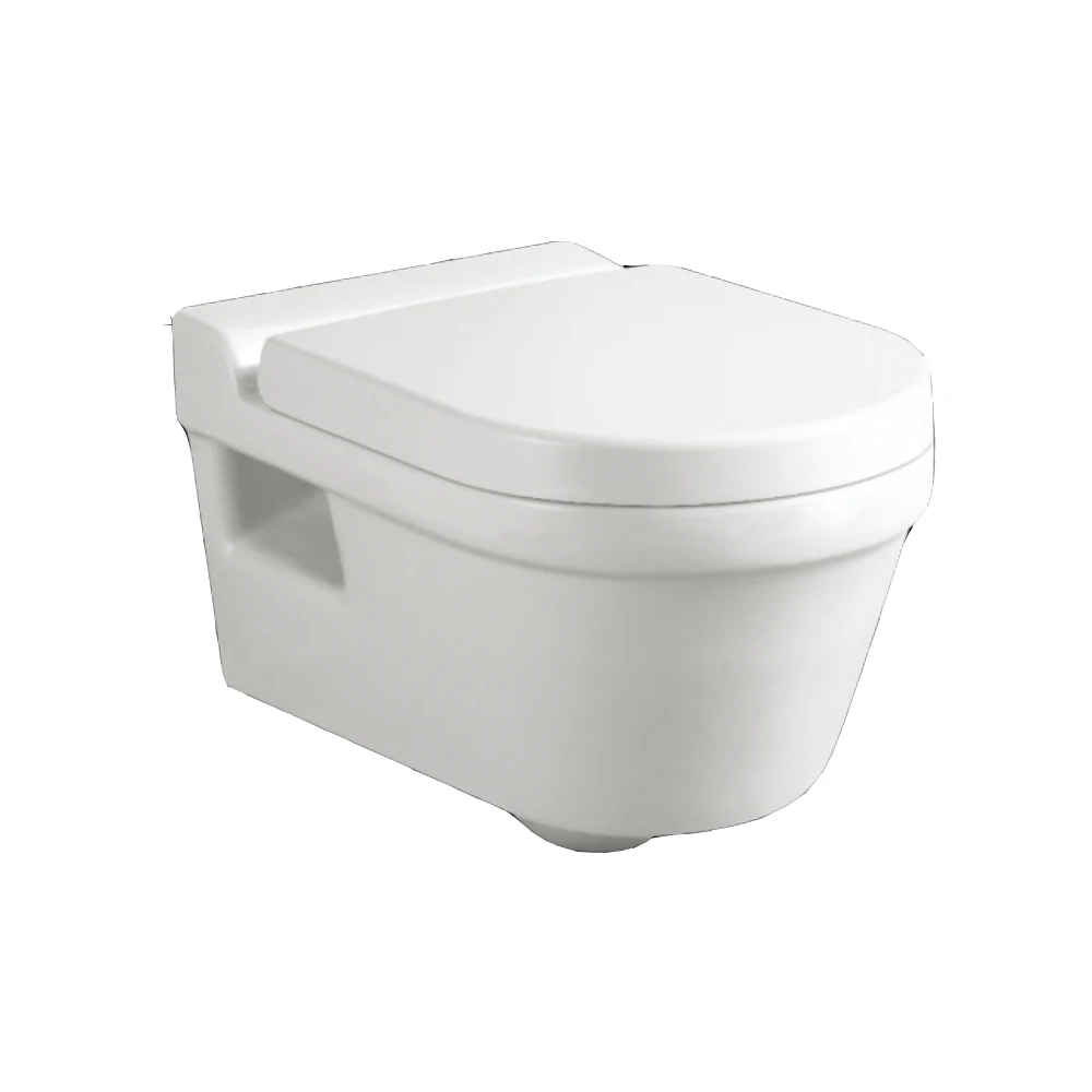 Camping Portable Toilet Hot Sale