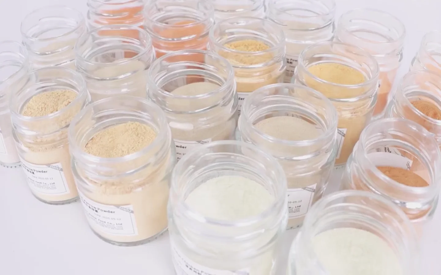 20kg Halal Dried Philippines Flavor Chicken Powder Seasonings