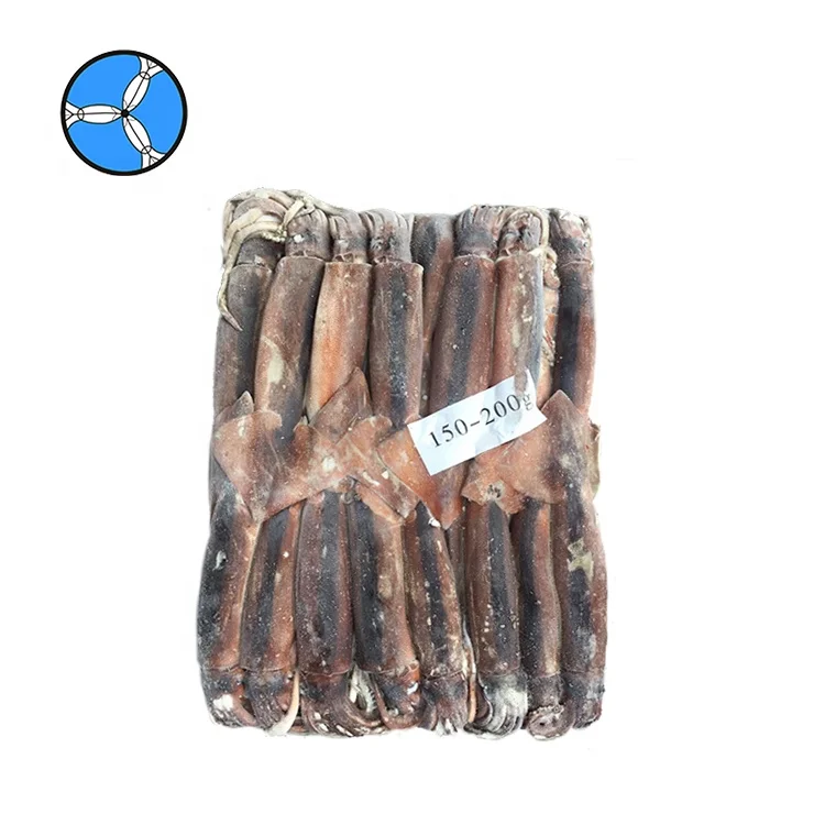 SANFENG SEAFOOD Frozen Argentine Squid illex squid