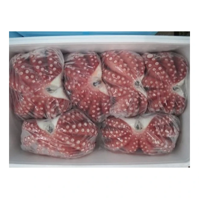 12 months shelf life high graded frozen octopus fresh price for sale