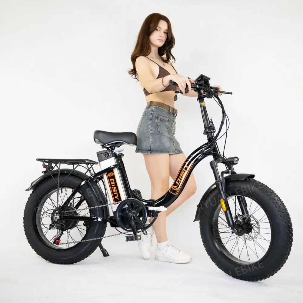 High power 48v20Ah ebike 60v 20AH 500w with 16inch 18inch electric bike snow tire electric cargo bike