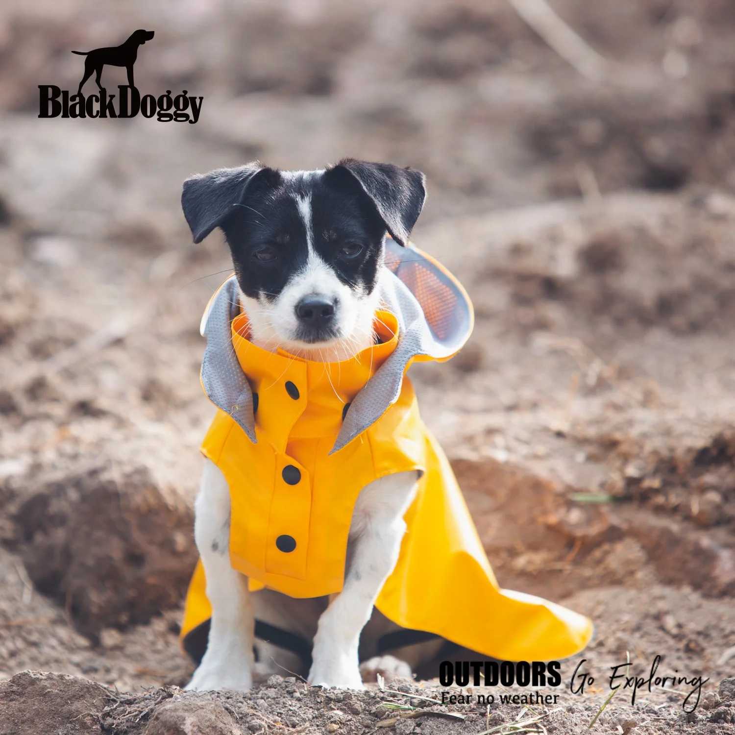 Wholesale Dog Coats Waterproof Raincoat Pet Clothes with Detachable Hoodie